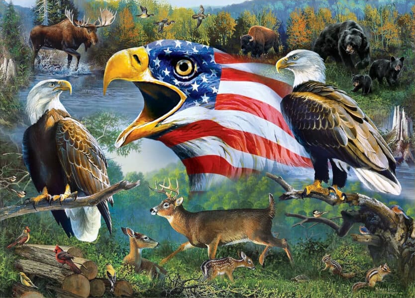 Freedom for All